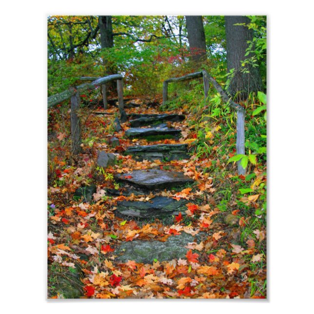 Impression Photo Le chemin (Devant)