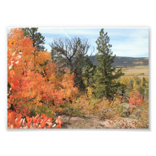Impression Photo Le Colorado orange Aspen