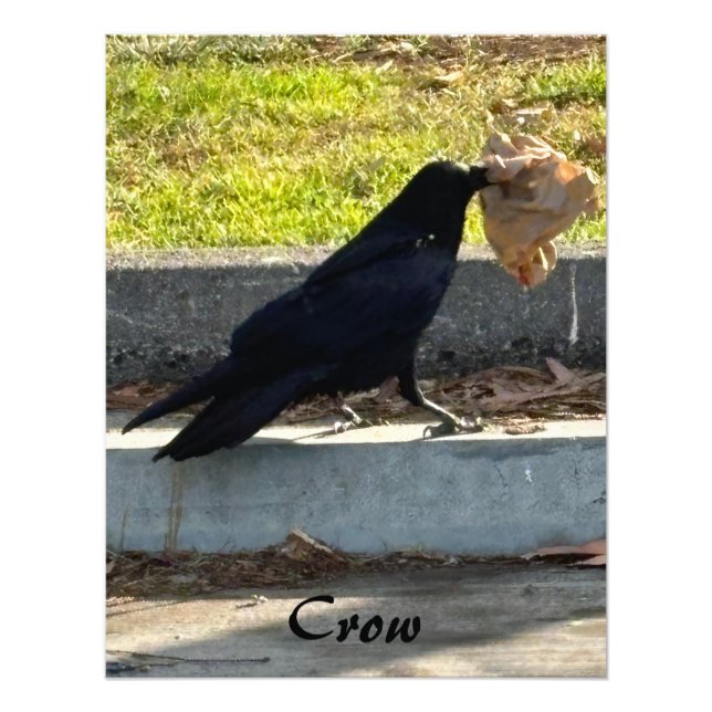 Impression Photo Le Corbeau (Devant)