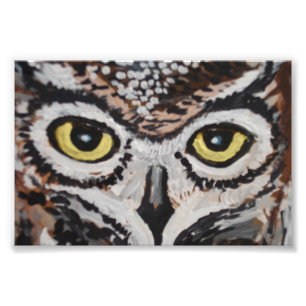 Impression Photo Le hibou sage