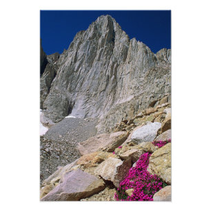 Impression Photo Le Mont Whitney Et Les Fleurs sauvages