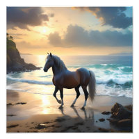 Le Palomino Horse Sur La Plage,