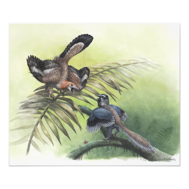 Impression Photo Le premier oiseau (Devant)