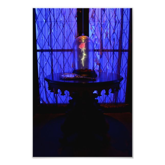 Impression Photo Le Rose (Devant)