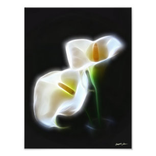 Impression Photo Le zantedeschia élégant fleurit la copie 13
