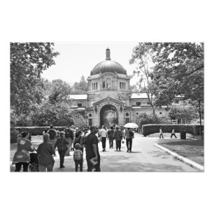 Impression Photo Le zoo de Bronx