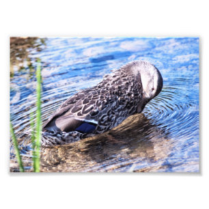Impression Photo L'effet Grooming