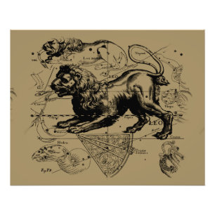 Impression Photo Leo Constellation Hevelius 1690 juillet 23 août 22