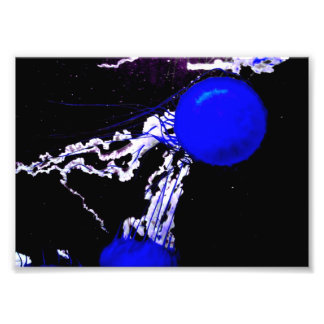 Impression Photo "Les anges bleus"