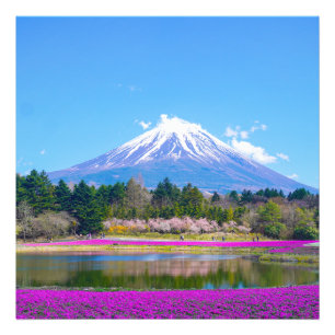 Impression Photo Les arbres et fleurs du Mont Fuji