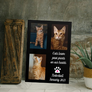Impression Photo Les chats laissent des empreintes   Collage de pho