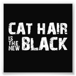 Impression Photo Les cheveux de chat sont le nouveau noir