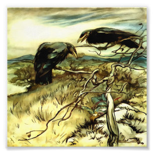 Impression Photo Les deux corbeaux ou corbies Twa font un mane