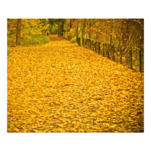 Impression Photo LES feuilles SONT PARTI DU FOLIAGE DE L'AUTOMNE SA