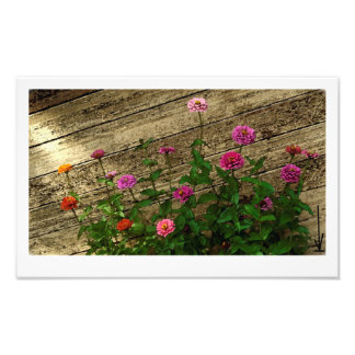 Impression Photo Les fleurs d'Abby
