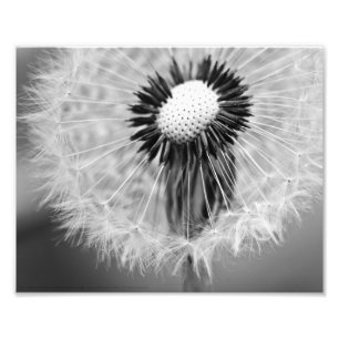 Impression Photo Les graines de demain