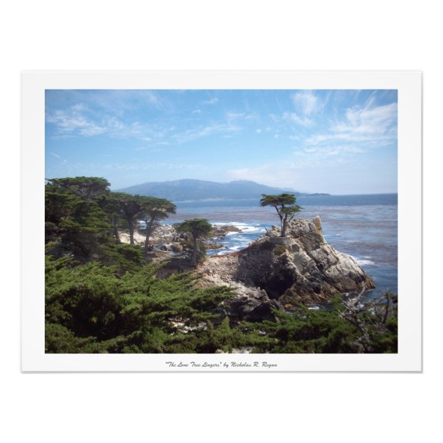 Impression Photo "Les Lingers de l'Arbre Lone" Monterey Comté (Devant)