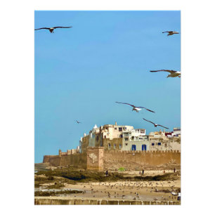 Impression Photo Les mouettes et la ville. - Essaouira, Maroc