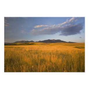 Impression Photo Les prairies de Praire au pied des collines