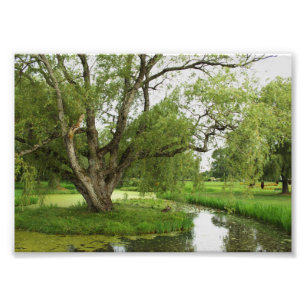 Impression Photo Les verts de grand pré