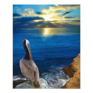 IMPRESSION PHOTO LES YEUX ENSOLEILLÉS D'UN PELICAN