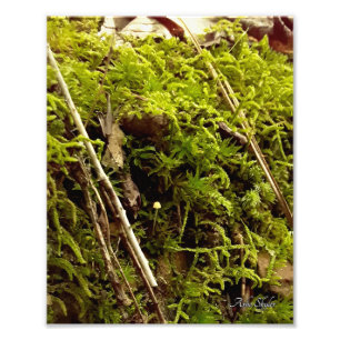 Impression Photo L'espoir monte