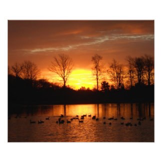 Impression Photo lever