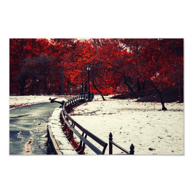 Impression Photo L'hiver se rencontre à Central Park, New York (Devant)