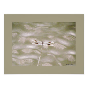 Impression Photo Libellule par Linda Becker