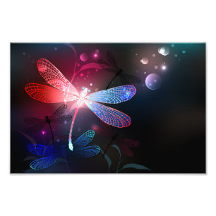 Impression Photo libellule rouge brillante