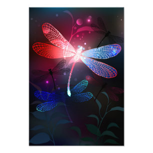Impression Photo libellule rouge brillante
