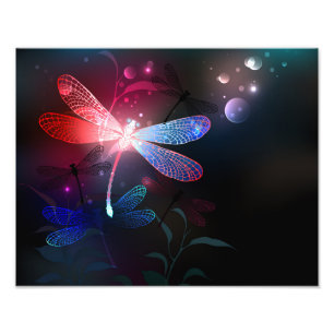 Impression Photo libellule rouge brillante