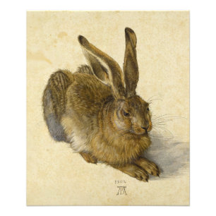 Impression Photo Lien par Albrecht Durer