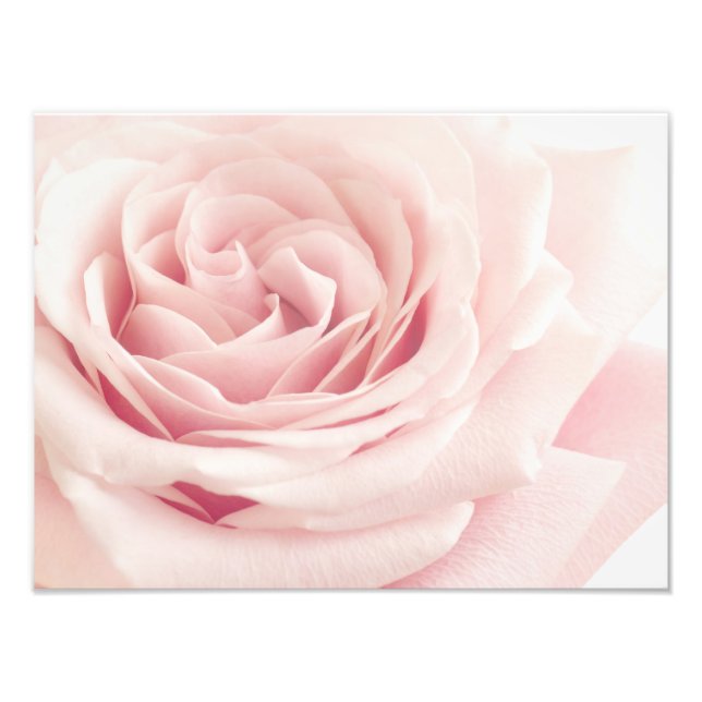 Impression Photo Light Pink Rose Flower (Devant)