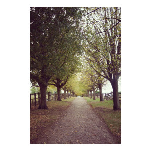 Impression Photo Ligne d'arbres de bois
