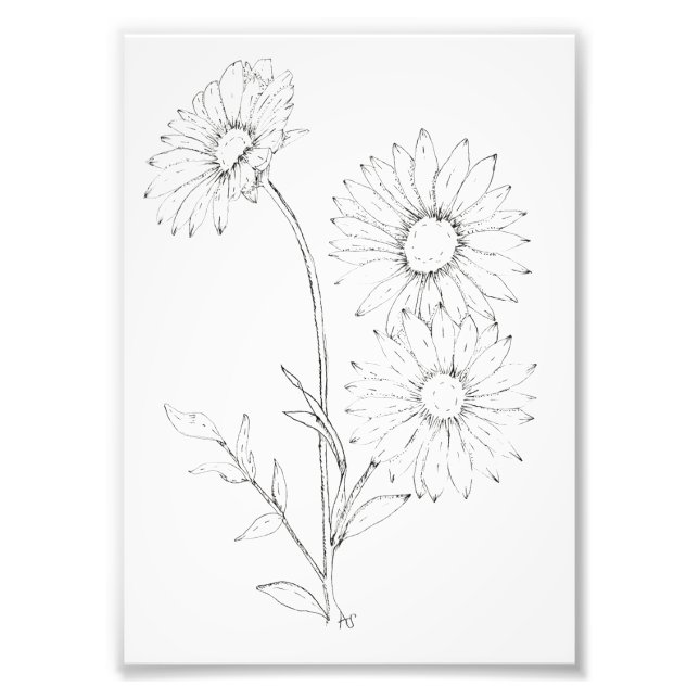 Impression Photo Lines & Petals (Devant)