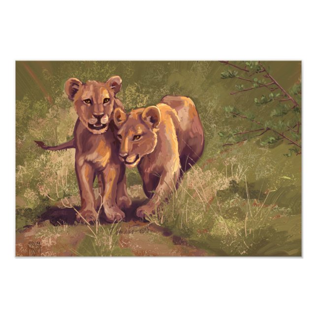 Impression Photo Lion Cubs (Devant)