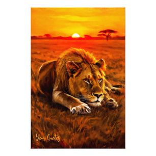 Impression Photo Lion mâle au repos sur la savane dorée
