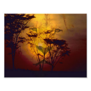 Impression Photo Lion regardant au-dessus du coucher du soleil