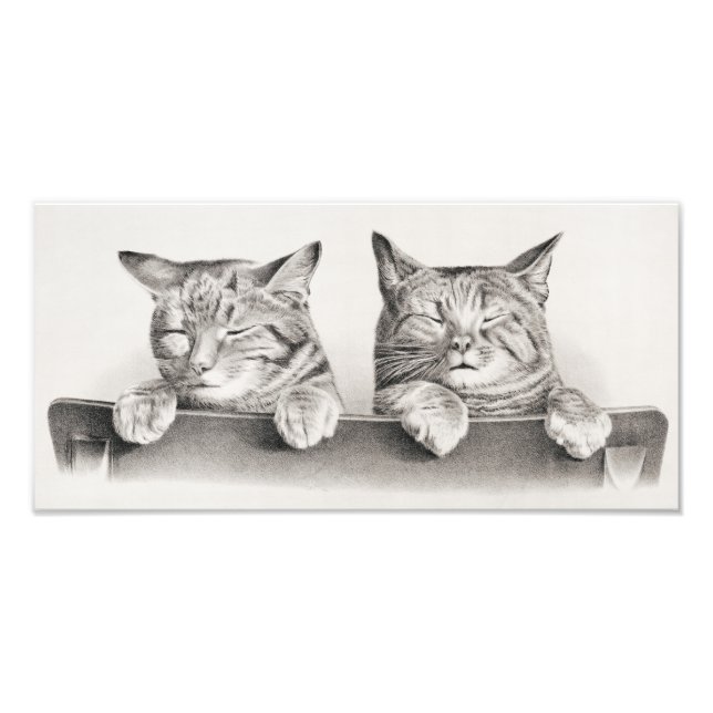 Impression Photo Lithographie de chats dormant vintage, 1874 (Devant)