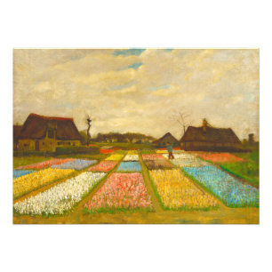 Impression Photo Lits à fleurs en Hollande par van Gogh