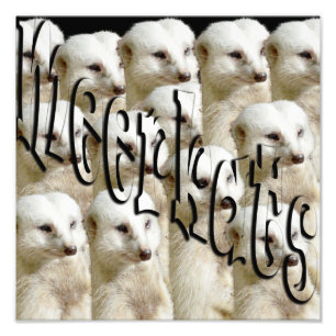 Impression Photo Logo de l'armée des suricates,