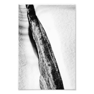Impression Photo longue dure froide solitaire
