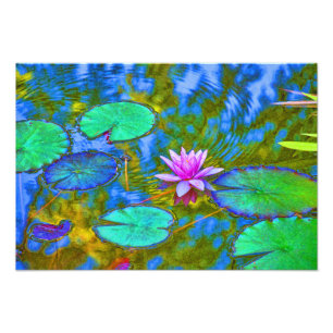 Impression Photo Lotus Lily Lad Water Lily dans un jardin italien