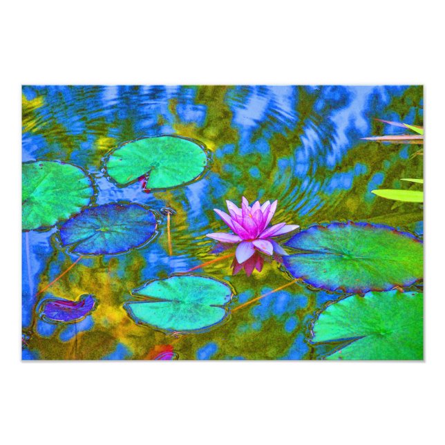 Impression Photo Lotus Lily Lad Water Lily dans un jardin italien (Devant)