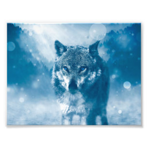 Impression Photo Loup bleu
