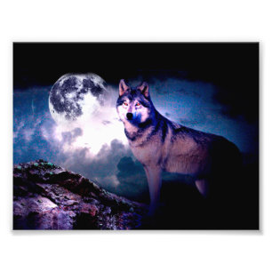 Impression Photo Loup lunaire