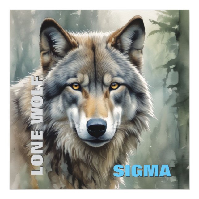 Impression Photo Loup solitaire masculin de Sigma (Devant)