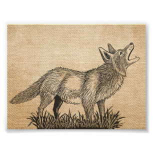 Impression Photo Loup vintage d'hurlement de toile de jute 7" x 5",