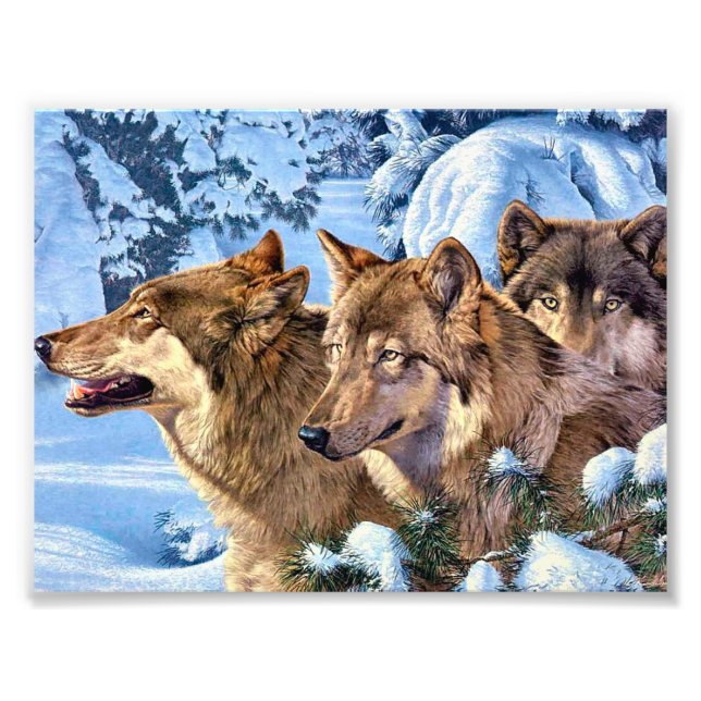 Impression Photo Loups rouges (Devant)